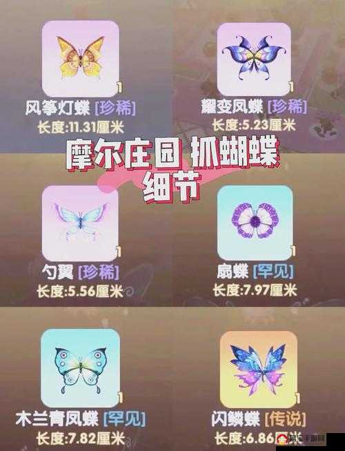 绝美飞碟坐骑上线！摩尔庄园5步速领攻略，错过等一年！